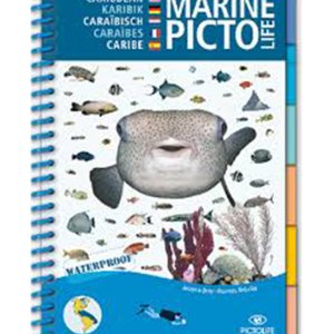 Pictolife Marine