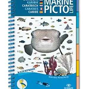 Pictolife Marine