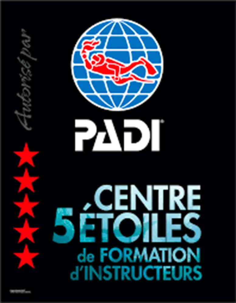 padi-logo-home padi-logo-home
