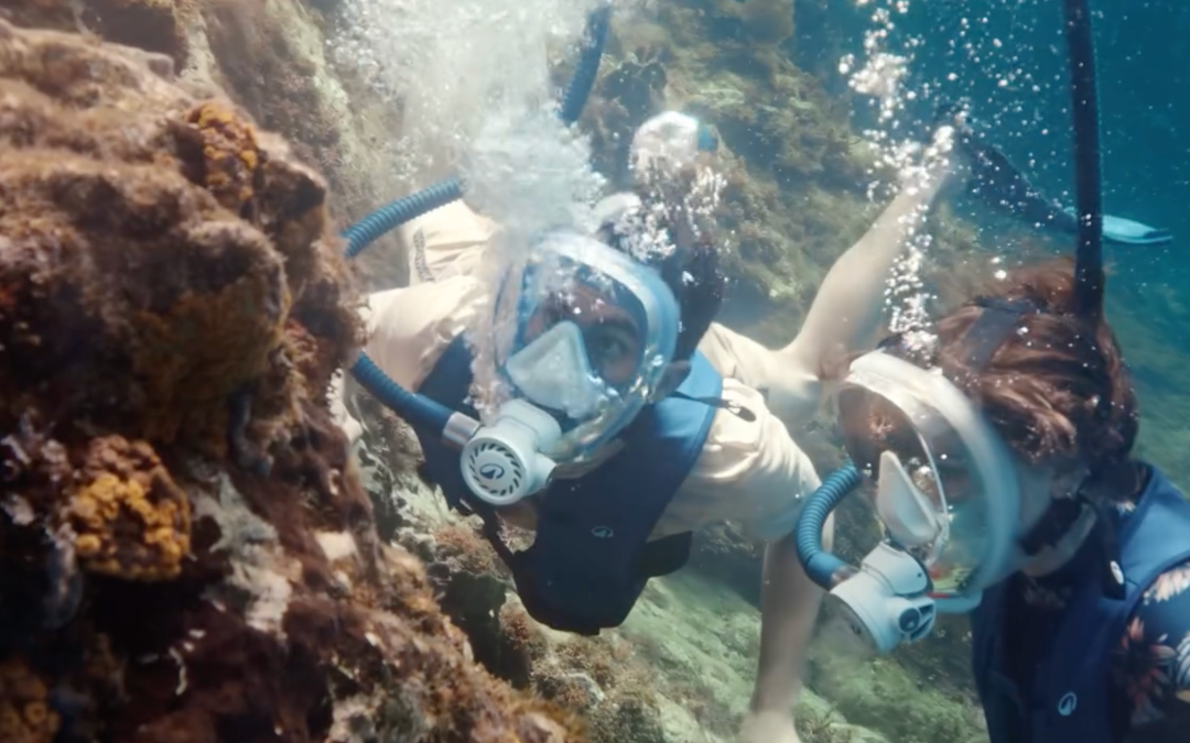 Decathlon – Easybreath Dive